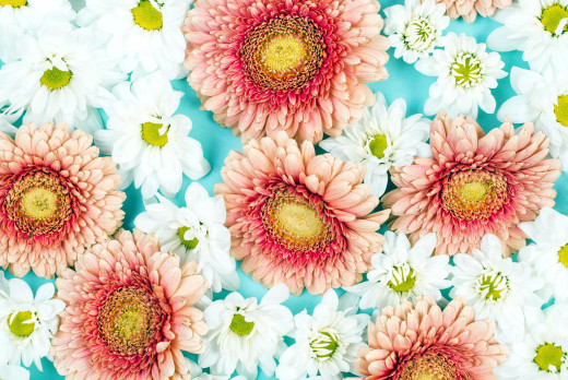 1542369 (a): :2560x1709